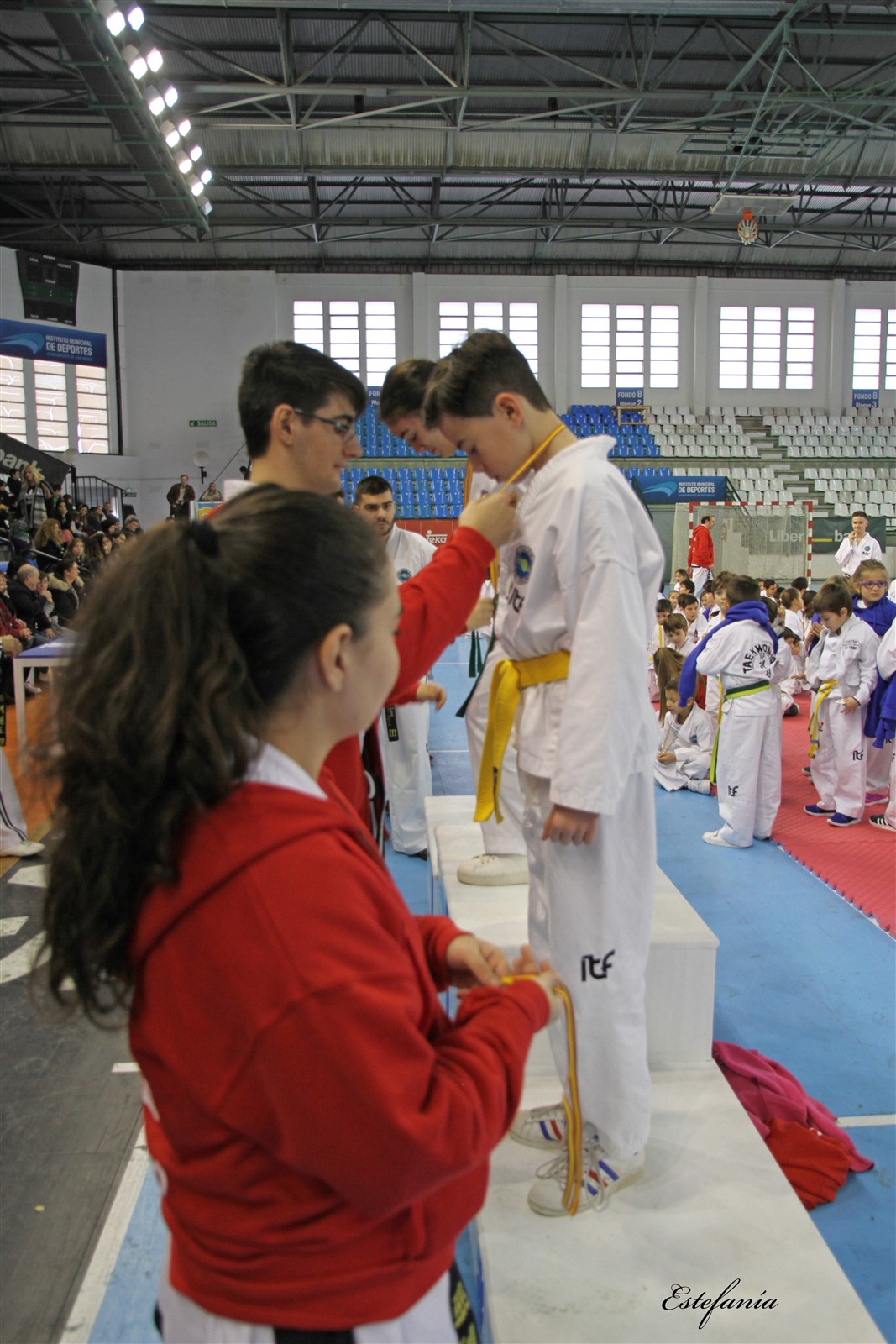 Taekwondo (260).jpg